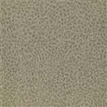 ciottoli - gold