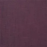 maggia - berry