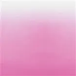 Saraille - Fuchsia Cutting