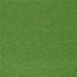 ROTHESAY - GRASS