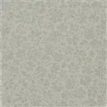 arlay - graphite
