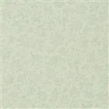 arlay - celadon