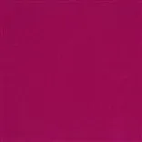 Cassia - Fuchsia Cutting