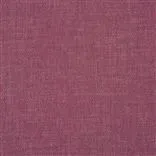 torno - crocus
