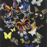 butterfly parade - oscuro
