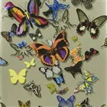 butterfly parade - platine