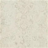 Old Hall Floral - Graphite