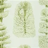 linnaeus - moss