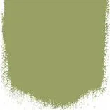 ASPARAGUS FERN - PERFECT MATT EMULSION - 2.5LTR