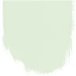 ALMOND FLOWER NO. 89 PAINT