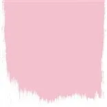 DIANTHUS PINK NO. 132 FARBE 