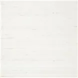chinon - snow