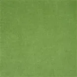 Arona - Leaf Cutting