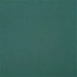 Arona - Teal