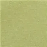 Brienno - Grass