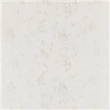 Camilla Embroidery - White Pearl