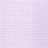 vernon - crocus
