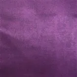 Canzo - Violet