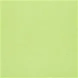 Canvas - Lime Cutting