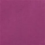 Ampara Magenta
