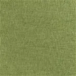 Kalutara Moss