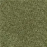 Kalutara - Fern