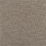 Kalutara Walnut