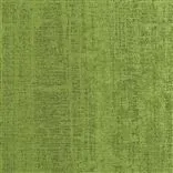 Ampara Leaf