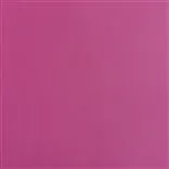 Matara Fuchsia