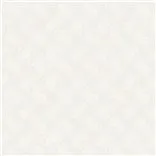Annaliese Floral Parchment