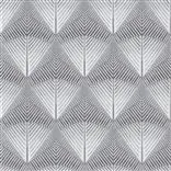 Veren Graphite