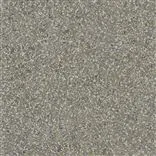 Pavonazzo Birch