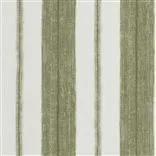Scillo Sage