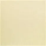 bernine - parchment