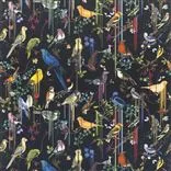 Birds Sinfonia - Crepuscule
