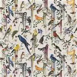 Birds Sinfonia Jonc