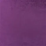 Vicenza - Plum