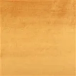 Vicenza - Saffron
