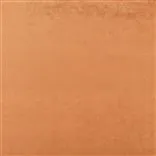 Vicenza Russet