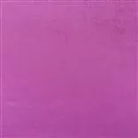 Vicenza - Magenta