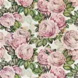 The Rose - Tuberose Cutting