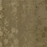 Kibushi - Cappuccino Cutting