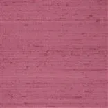 Chinon - Loganberry Cutting