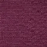 Birkett Magenta