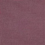 Newton - Magenta