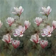 Yulan Magnolia