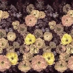 Le Poeme De Fleurs Rosewood