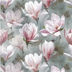 Yulan Magnolia