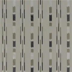 Pachra Graphite