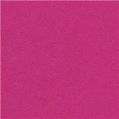 Brinzio Fuchsia